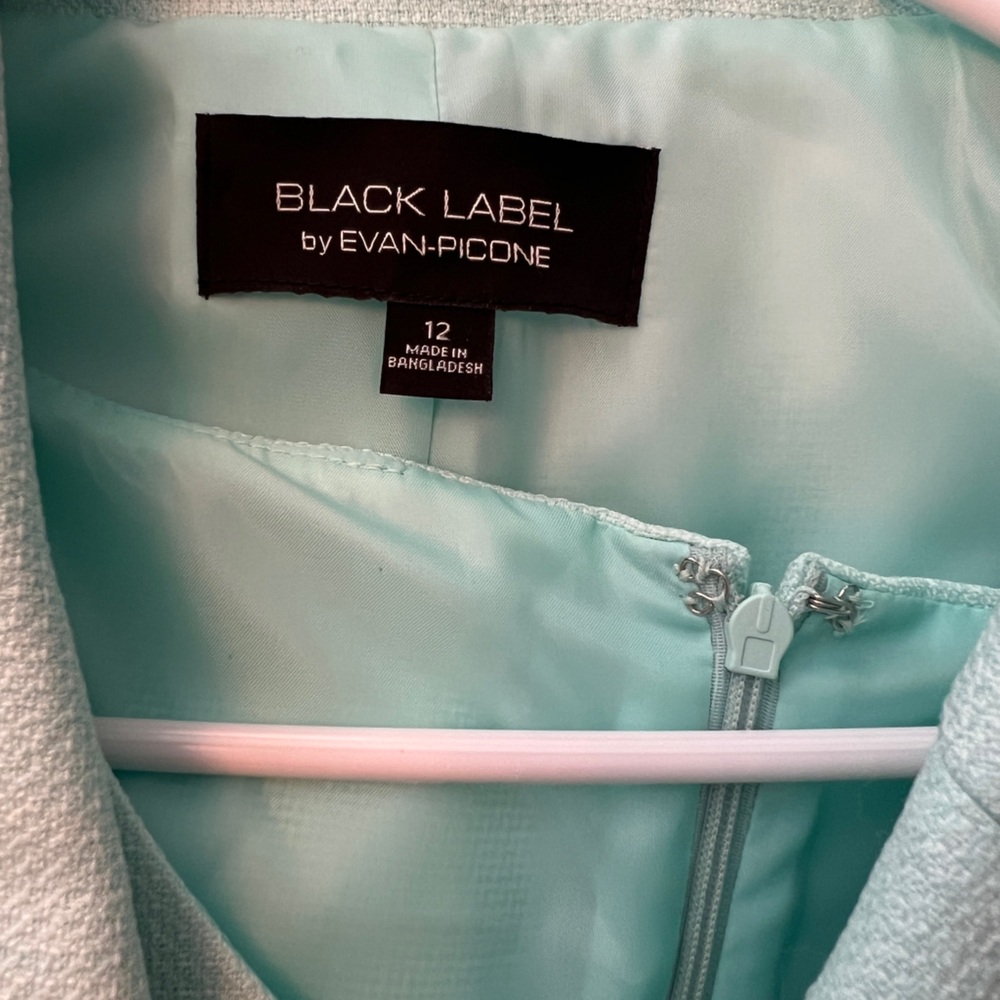 Evan Picone Light Green Midi Dress - Picture 3 of 3